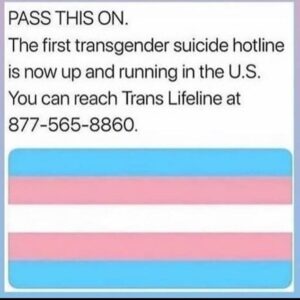 Trans Hotline Image