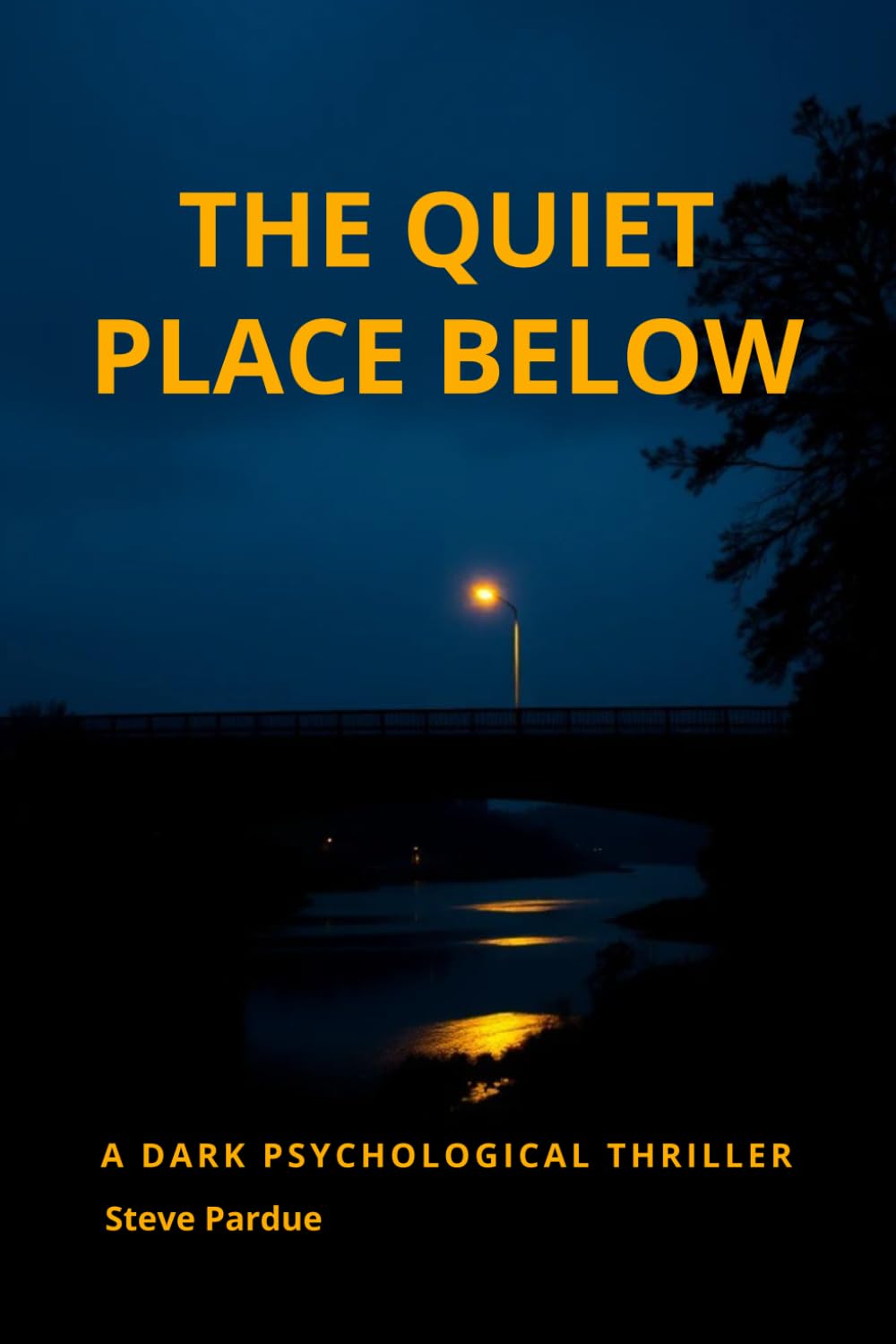 Psychological Thriller The Quiet Place Below Book Cover